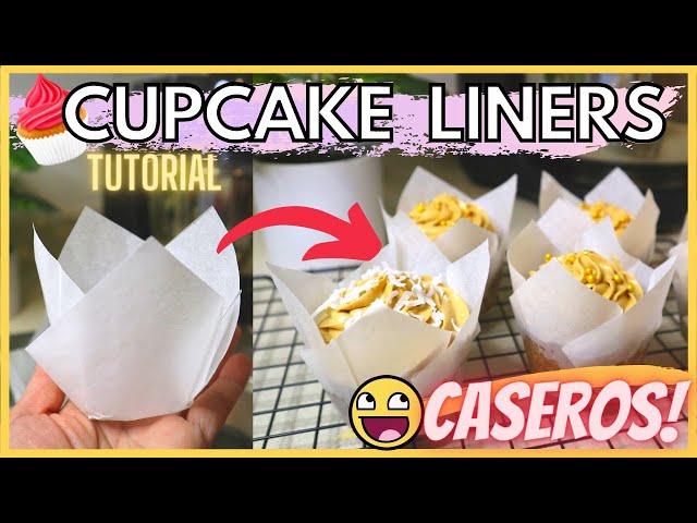Tipos de Moldes para preparar Cupcakes y Muffins
