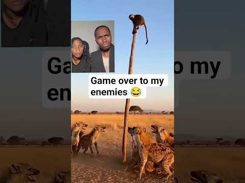 Nu cabana #hoistemup #byo