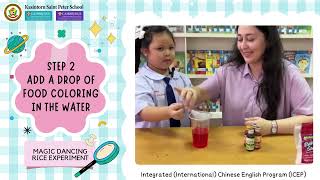 🌾🌾Magic Dancing Rice Experiment