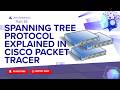 STP & RSTP Explained in Cisco Packet Tracer | Spanning Tree Protocol | Zero To CCNA #16