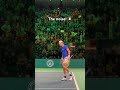 Listen to the crowd as Berrettini wins it! 🔥 #DavisCup #Tennis #Shorts