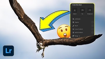 The One Panel That Changes EVERYTHING in Lightroom
