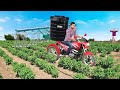 मोटरबाइक पानी टंकी की खेती Motorbike Water Tank Farming Comedy Video
