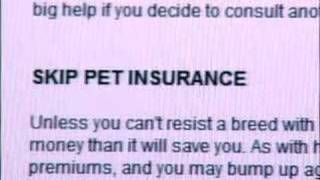 How Do I Pay For The Vet Bill