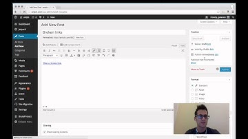 Checking for Broken Links in WordPress