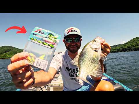 This BAIT Is DEADLY For Summer Time CRAPPIE!!
