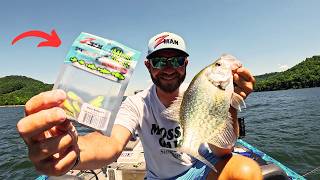 This BAIT Is DEADLY For Summer Time CRAPPIE!!