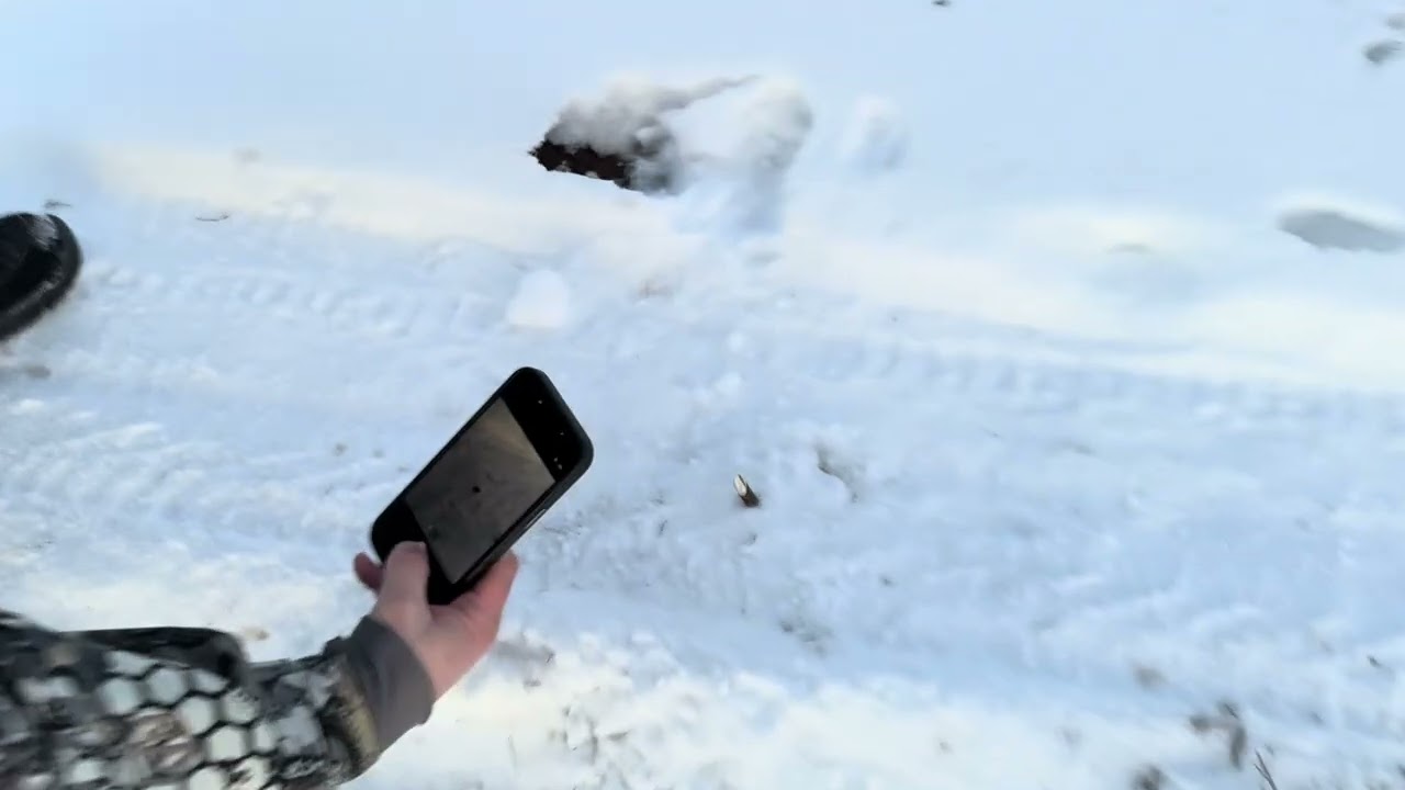 Ловушки на дороге, такая вот охота…