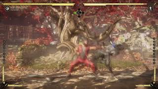 Liu Kang's Parry Working on This is Dumb Lol