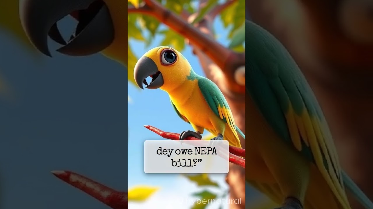 the Yoruba speaking parrot 🦜 