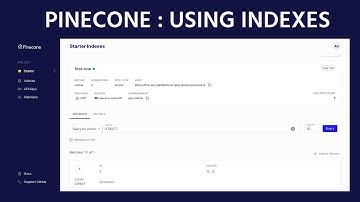 Pinecone : using indexes