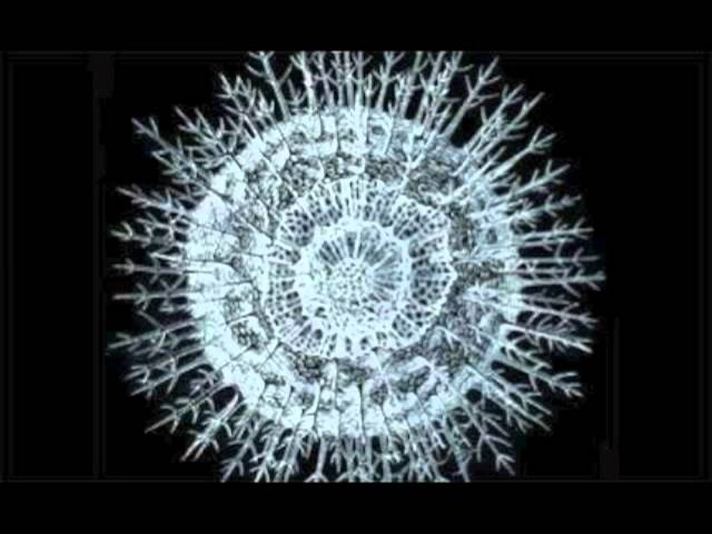 Tonton The Two Worlds by Yuval Ron di YouTube