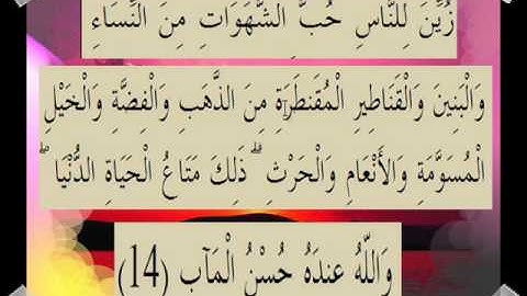 القرآن الكريم سورة آل عمران الأية 14