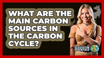 What Are The Main Carbon Sources In The Carbon Cycle? - Ecosystem Essentials