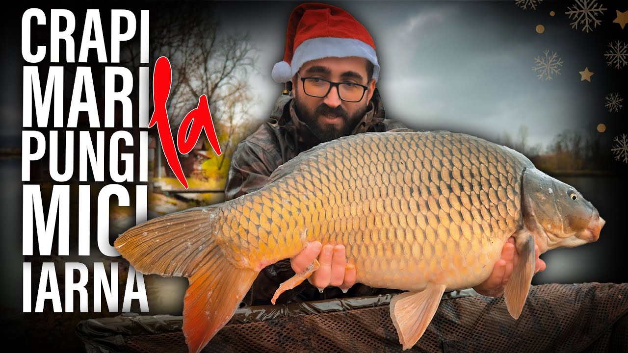 Tactici de Iarnă: Pungi PVA și Momeli Mici la Crap pe Pleaşa