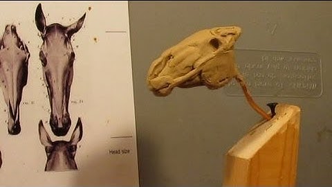 Sculpting With Lemon - Down the Ridge Line - Horses New Head Replaces Old