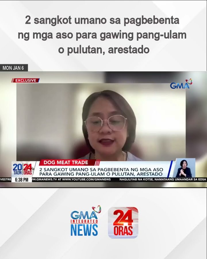 2 sangkot umano sa pagbebenta ng mga aso para gawing pang-ulam o pulutan, arestado | 24 Oras