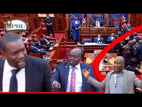 Live Fireworks In Senate Impeachment Hearing Of Kericho Governor In Senate Day 2 