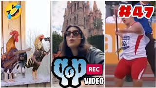 Video compilation of funny situations 🤣 | Funny video edit by PPo #47