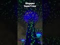 Singapur Gardens by the Bays Lightshow SuperTrees #shorts