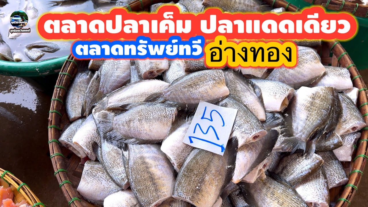 #ตลาดปลาเค็ม#ปลาแดดเดียว #ขายปลีกส่งใหญ่สุดในภาคกลาง#ตลาดทรัพย์ทวี#อ่างทอง#ลุงน้อยchannel