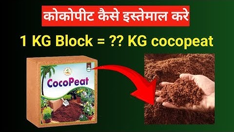 1 KG cocopeat block expand review #howto #use #cocopeat #pottingmix #gardenwallah #1kg #block