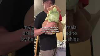 Cute capybara plushies on sale! perfect gift for loved ones #capybara
