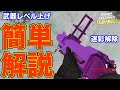 武器XP爆上げ！ゾンビで簡単に武器レベルをアップする方法！CWゾンビ 解説