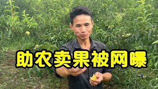 小莫卖蜂糖李被网曝，该不该卖这价钱【壮乡小莫】