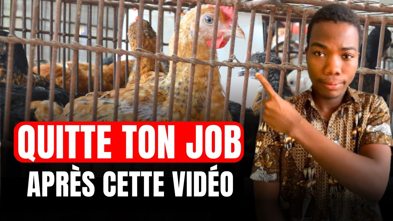Pourquoi l'Élevage de Poulet Goliath Peut Changer ta Vie Aujourd'hui (Les raisons)