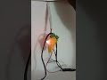 Logic indicator for AC load with a current coil.