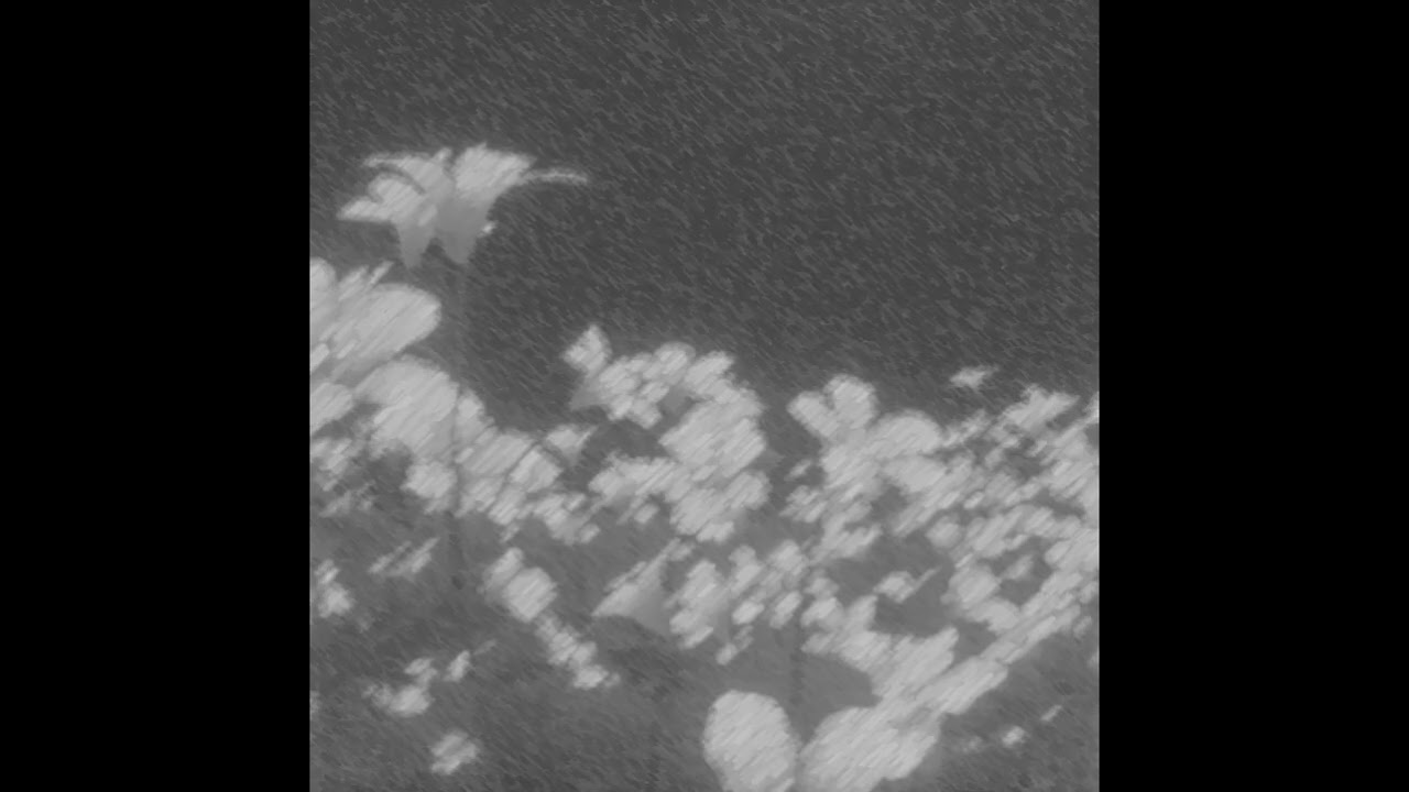 FREE LOOP KIT/SAMPLE PACK – HERZOG / PRETTIFUN X ZELL X CHE