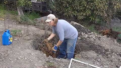 How to yank out a tree stump with a Bobcat Part 2