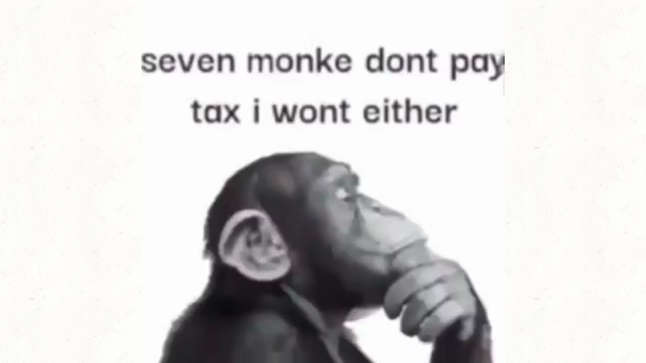 10 reasons why not pay tax YouTube