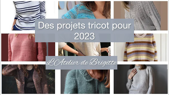 L'Atelier de Brigitte :Projets de tricot pour 2023