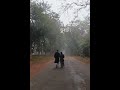 #তুমি আমার শেষ ভালোবাসা ❤️#lovelycopule #shortsvideo #yourvideotopic