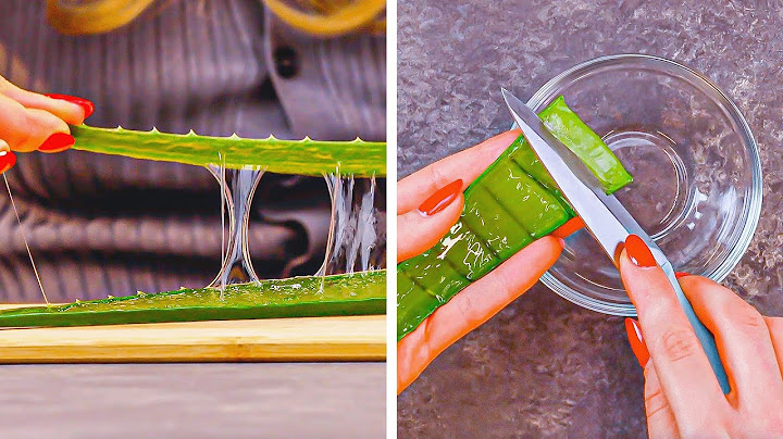 You HAVE To Try This! 7 Unbelievable Beauty Hacks Using Aloe Vera