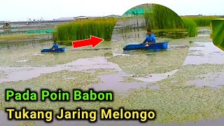 Seeing People Shooting Fish Gets Many Points The Net Is Also Taken Down