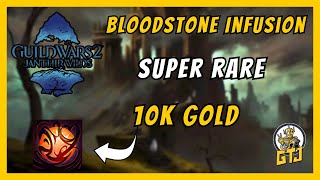 GW2 Bloodstone Infusion | Your Best Chance for this SUPER RARE Cosmetic!