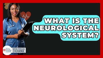 What Is The Neurological System? - Nursing Knowledge Exchange
