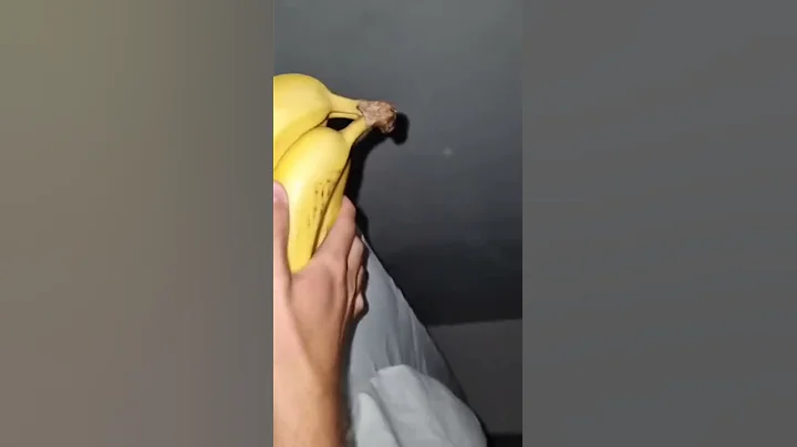 Alright good night bro (meme)