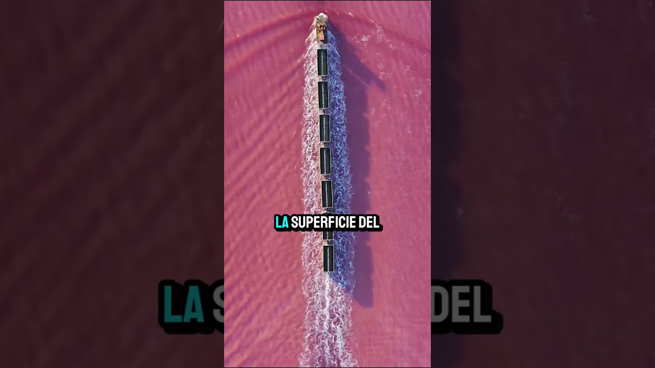 El único tren del mundo que parece flotar sobre el agua