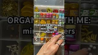 WHAT SHOULD I MAKE W/ ALL THESE LEFTOVERS?! #miniverse #makeitmini #leftovers #organizewithme #asmr