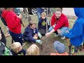 Scouts tree planting