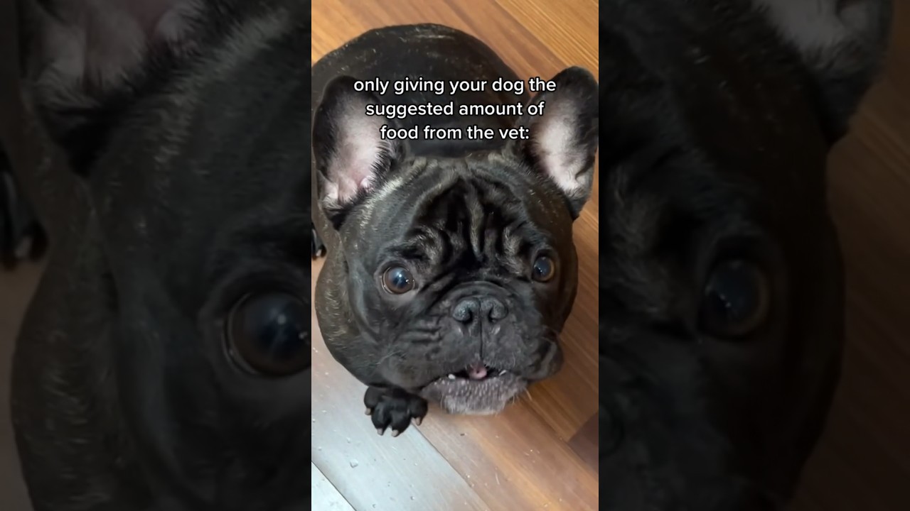 Gotta keep the boy healthy and fit! 