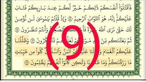 سوره البقرة رقم الصفحة 9 مجود بصوت القارئ الشيخ أيمن سويد حفظه الله