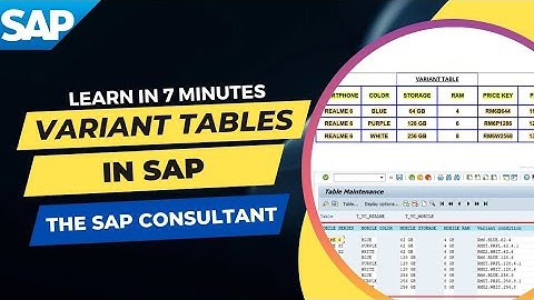 Variant Table in SAP | LO-VC | #SAPSD | The SAP Consultant | Variant Pricing | Constraints