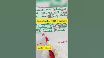 Ribosome Structure & Function | Protein Factory of the Cell | Easy Biology Diagram