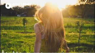 Carefree – Kevin MacLeod - YouTube Audio Library