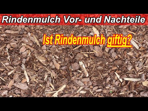 Video: Verwendung von Zedernholz für Mulch: Vorteile und Probleme von zerkleinertem Zedernmulch